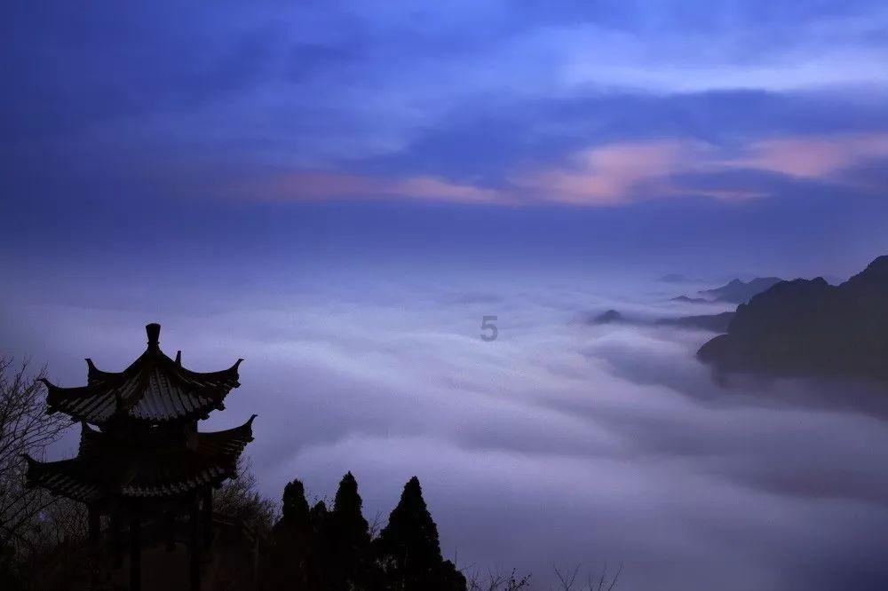 加入一群穿黑色衣服女朋友们朋友圈怎么称赞?,探索知识星球的精彩世界